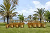 Athena Beach Hotel 